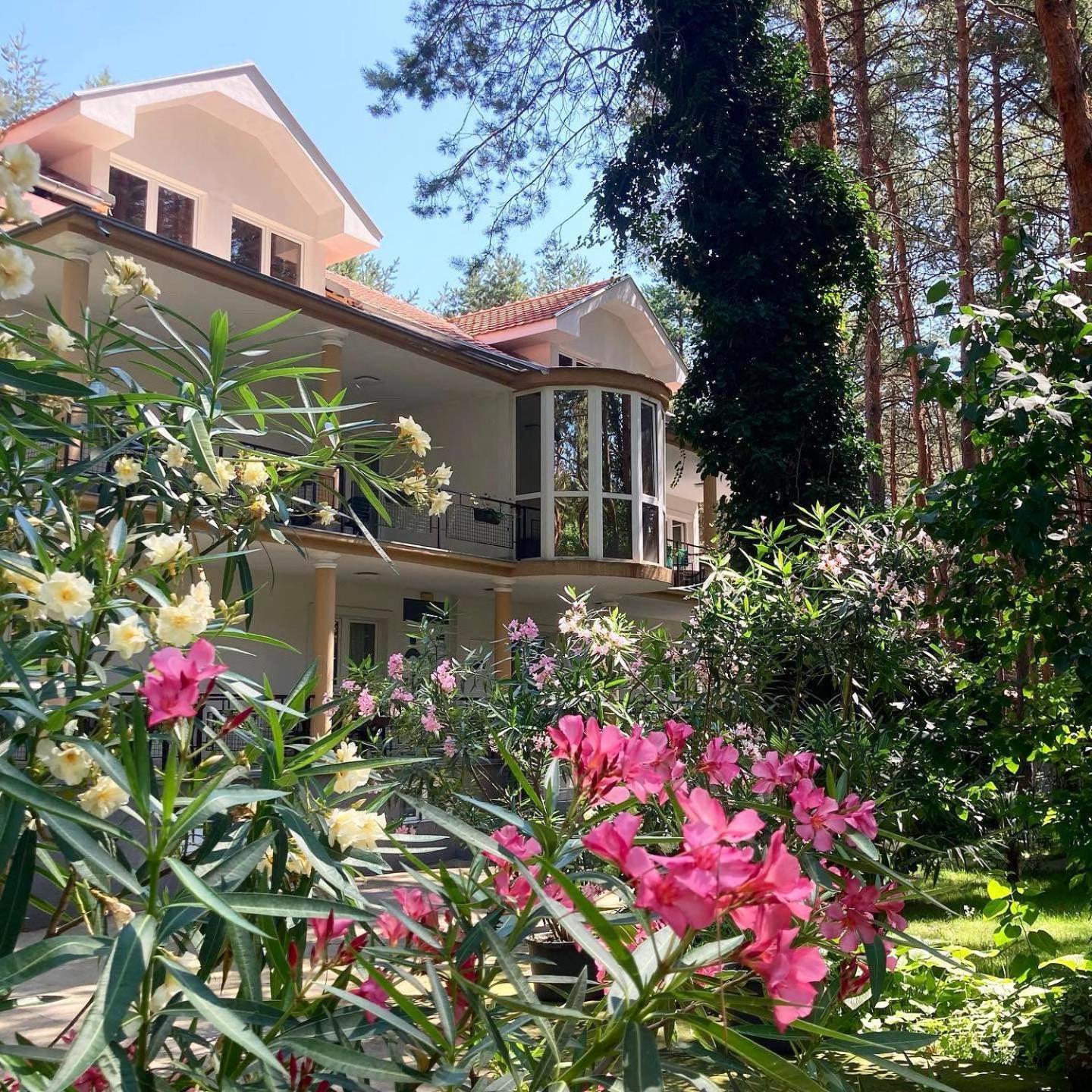 Vila Dunavski Raj Golubac Extérieur photo